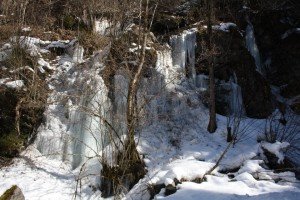 225398_547493031938102_787090517_n