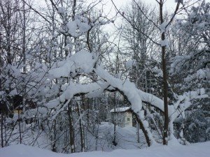 487974_535578883129517_1246411871_n