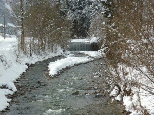 529075_535579103129495_937617560_n