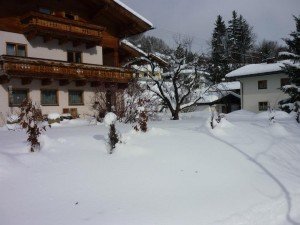 529705_535579126462826_1188843151_n