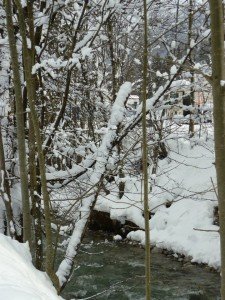 67953_535579263129479_817280260_n