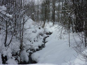 71395_535578543129551_729379651_n