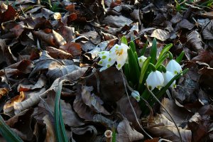 5514906686_14e722eac1_z