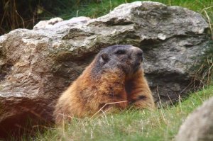 e30760ce50e2040679234db783f6be07