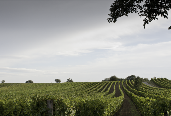 740d0a9444c94d8d842abe5aeef9eb41