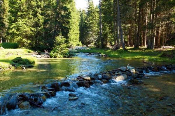 fe905fbde552d0f0392c559730f70492